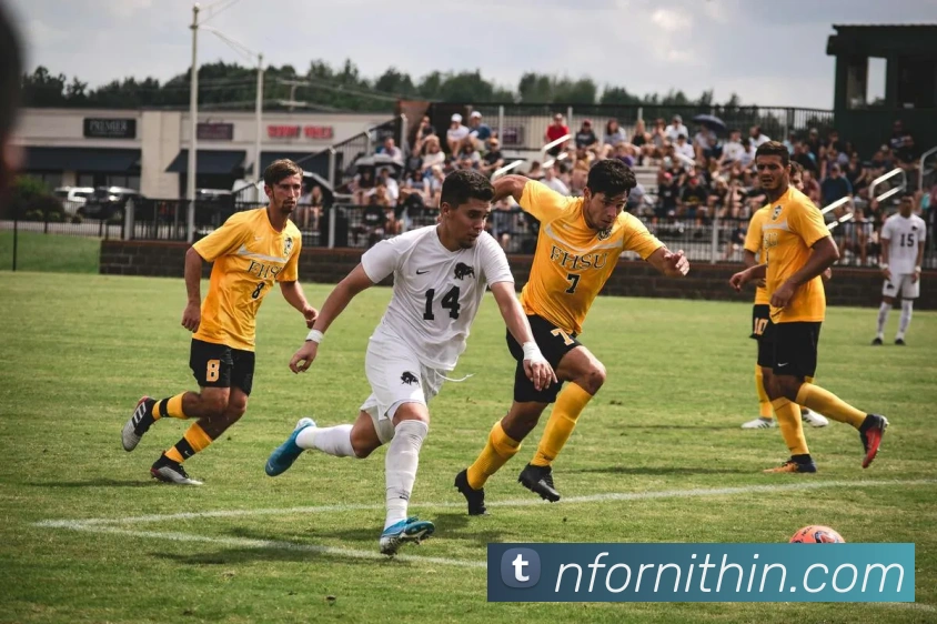 多媒体互动体验